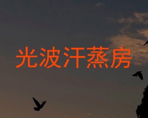 光波汗蒸房