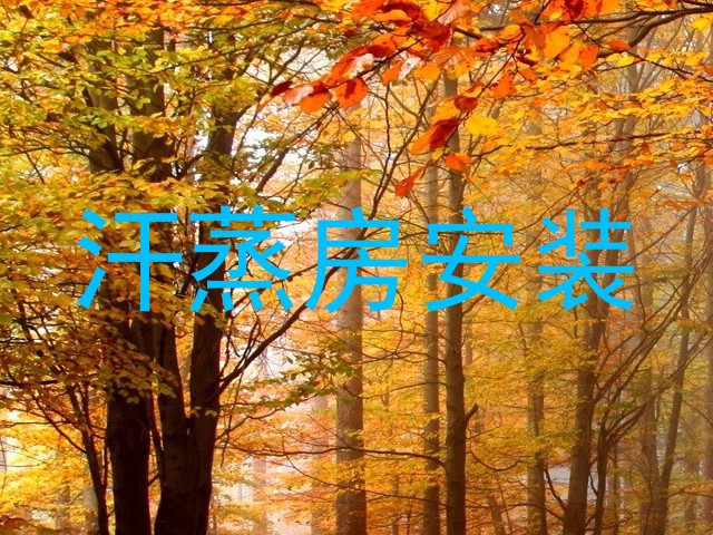 汗蒸房安装