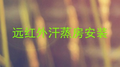 远红外汗蒸房安装