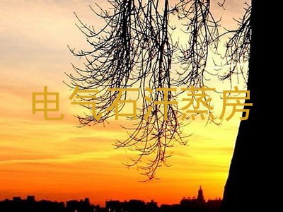 电气石汗蒸房
