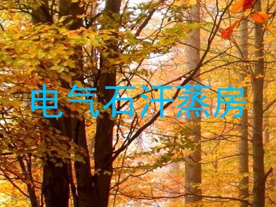 电气石汗蒸房