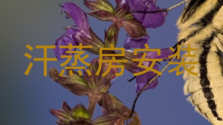 汗蒸房安装
