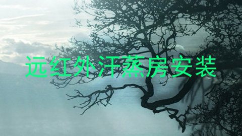 远红外汗蒸房安装