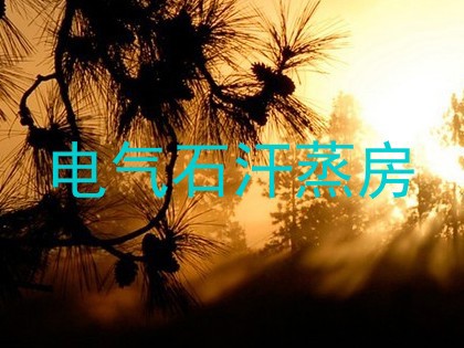 电气石汗蒸房