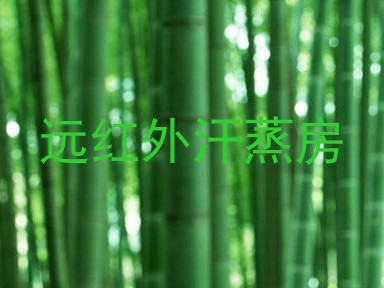 远红外汗蒸房