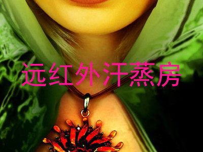 远红外汗蒸房