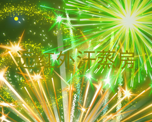 远红外汗蒸房