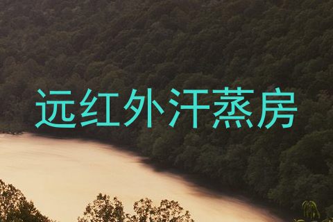 远红外汗蒸房