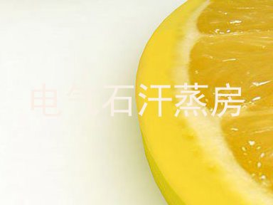 电气石汗蒸房