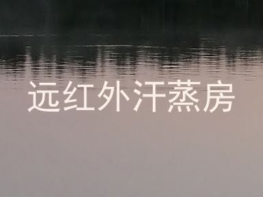 远红外汗蒸房