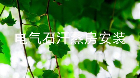 电气石汗蒸房安装