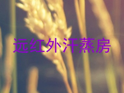远红外汗蒸房