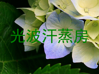 光波汗蒸房