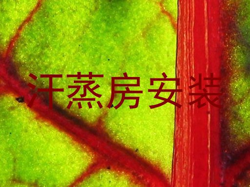 汗蒸房安装