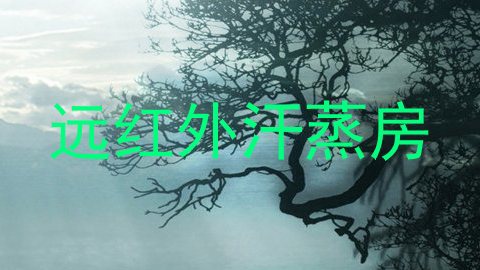 远红外汗蒸房