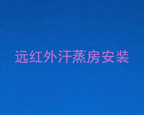 远红外汗蒸房安装