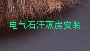 电气石汗蒸房安装