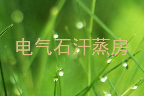 电气石汗蒸房
