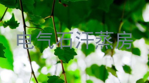 电气石汗蒸房