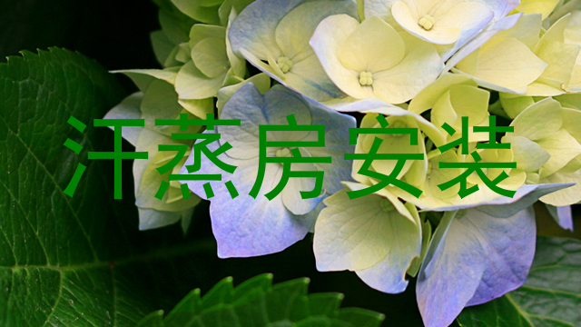 汗蒸房安装