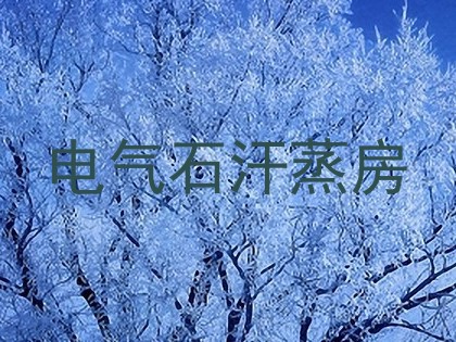 电气石汗蒸房