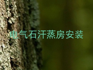 电气石汗蒸房安装