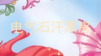 电气石汗蒸房