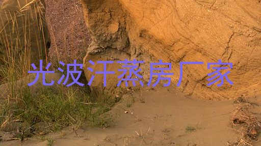 光波汗蒸房厂家