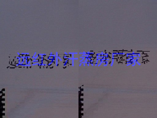 远红外汗蒸房厂家