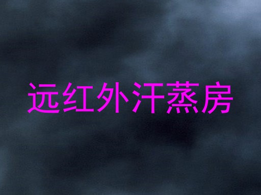 远红外汗蒸房