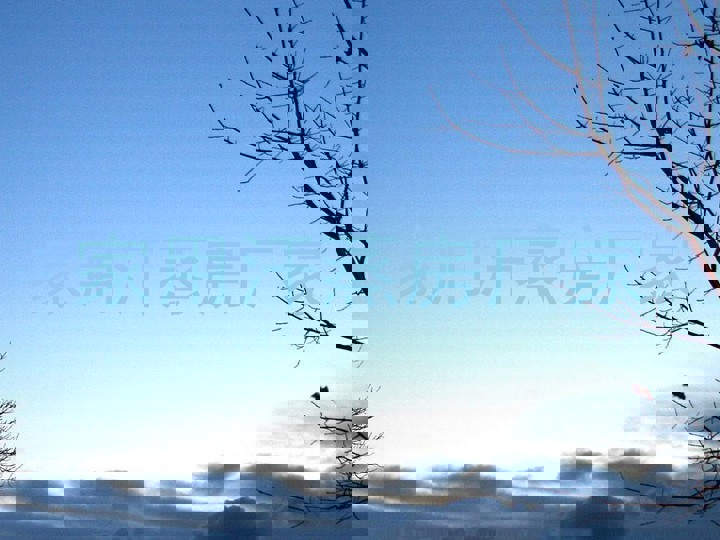 家用汗蒸房厂家