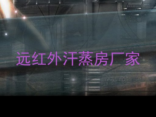 远红外汗蒸房厂家