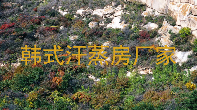 韩式汗蒸房厂家