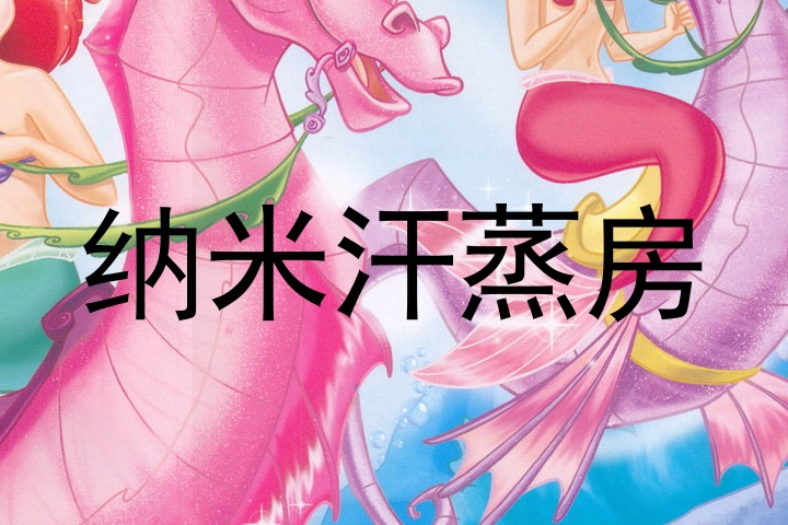 纳米汗蒸房