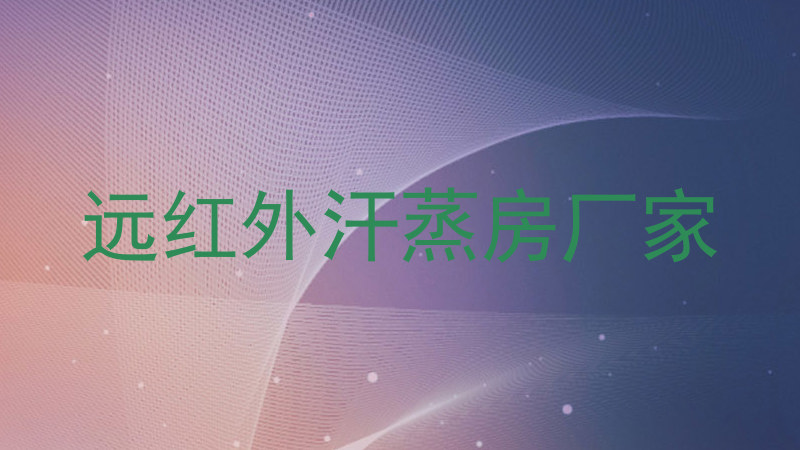 远红外汗蒸房厂家