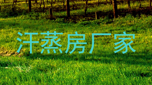 汗蒸房厂家