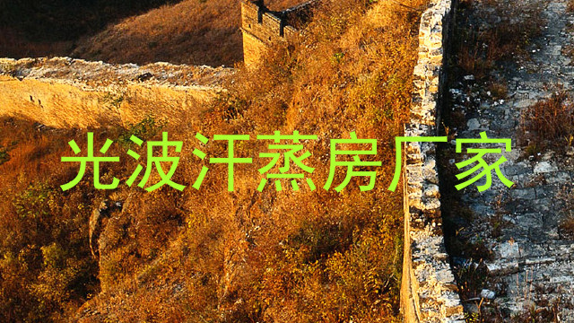 光波汗蒸房厂家