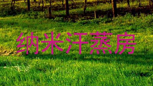 纳米汗蒸房