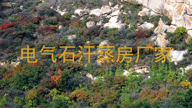 电气石汗蒸房厂家