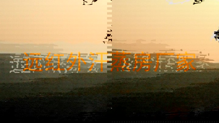 远红外汗蒸房厂家