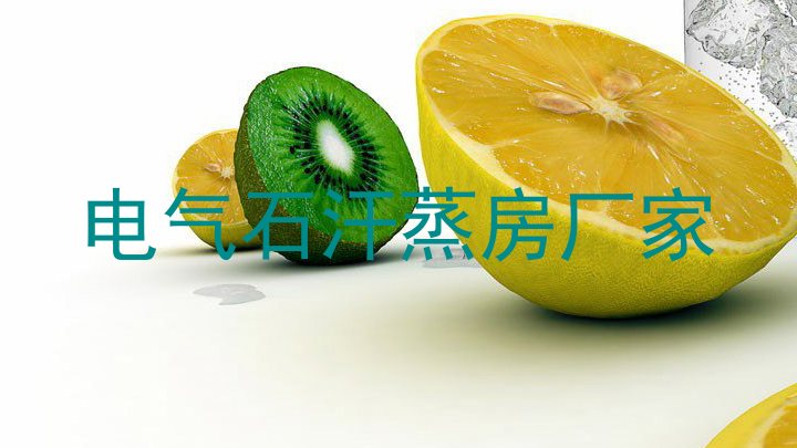 电气石汗蒸房厂家