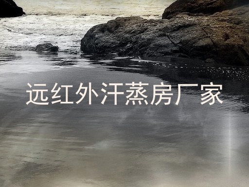 远红外汗蒸房厂家