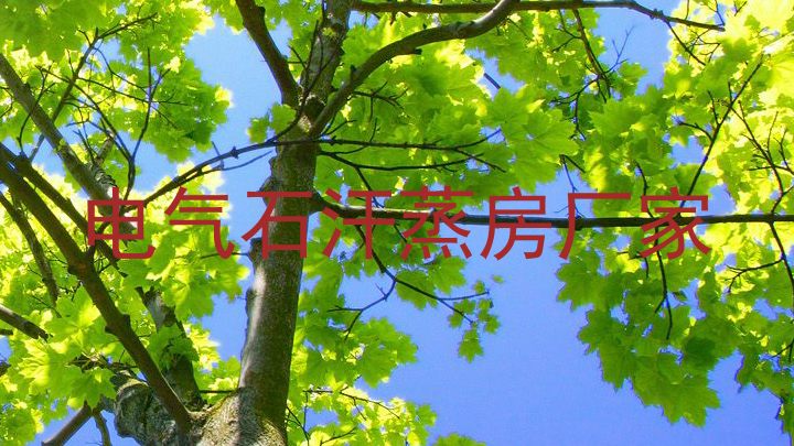 电气石汗蒸房厂家