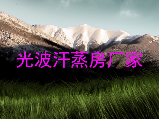 光波汗蒸房厂家