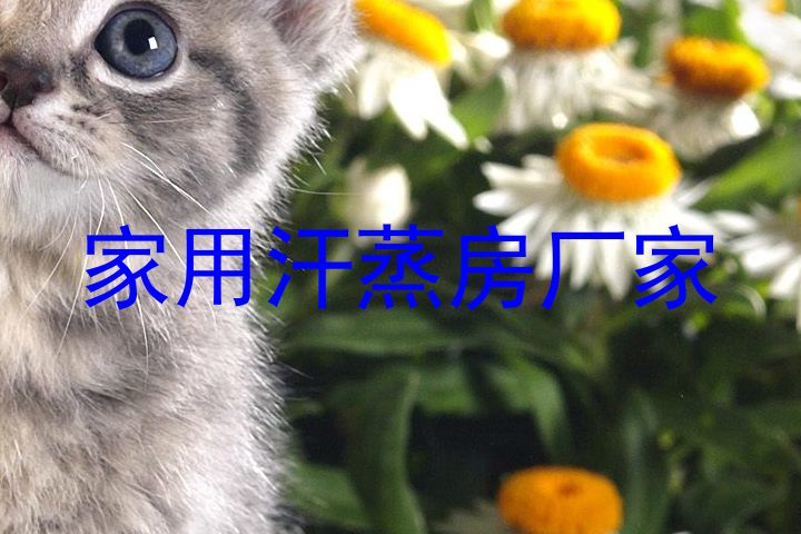 家用汗蒸房厂家