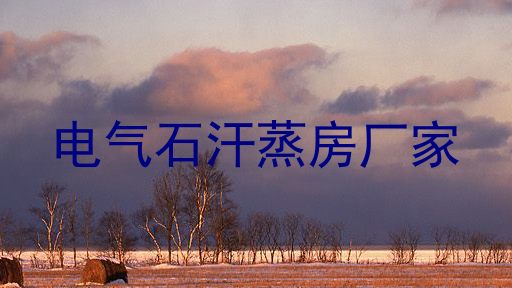 电气石汗蒸房厂家