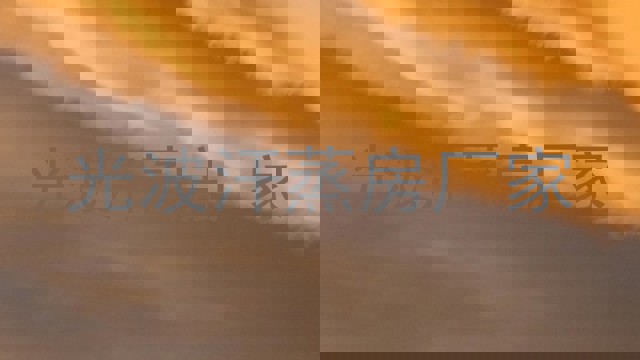 光波汗蒸房厂家