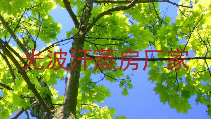 光波汗蒸房厂家