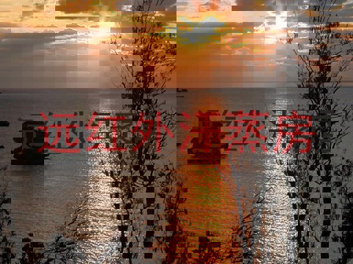 远红外汗蒸房