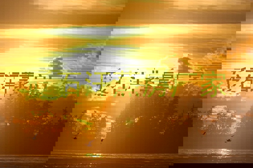 砭石汗蒸房厂家